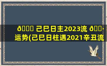 🐈 己巳日主2023流 🌷 年运势(己巳日柱遇2021辛丑流年)